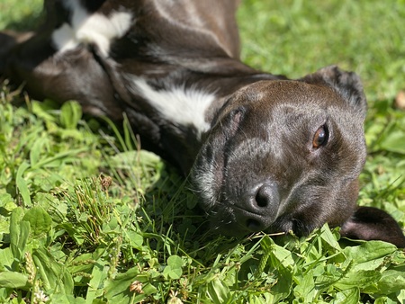 Entry image for Bailee. Clicking this image will show a larger photo