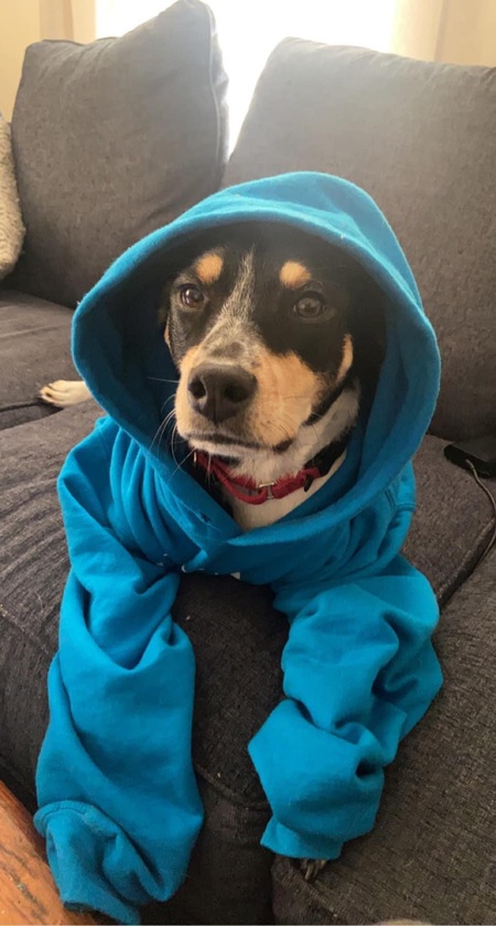 Entry image for Moseley. Clicking this image will show a larger photo