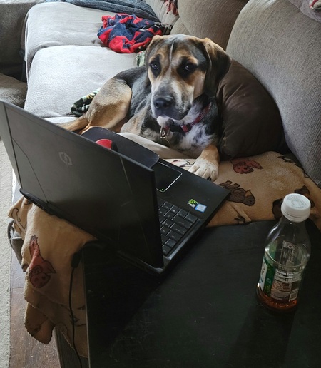 Entry image for Bob Barker. Clicking this image will show a larger photo