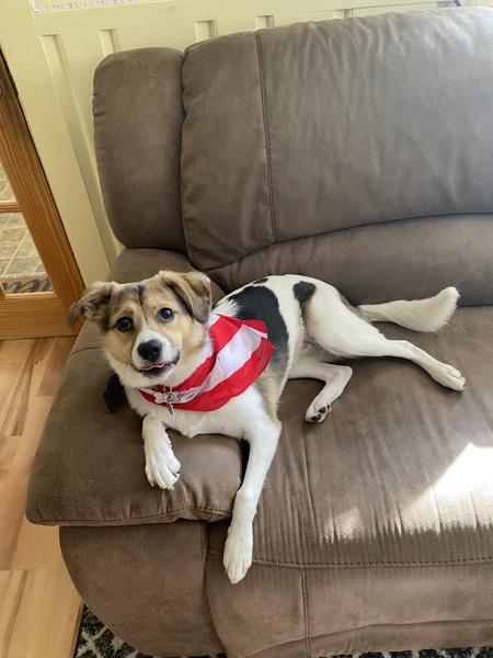 Entry image for Ellie. Clicking this image will show a larger photo