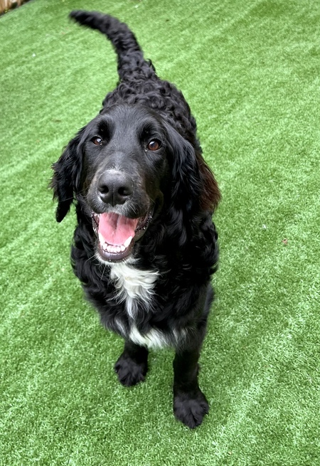 Entry image for Austin. Clicking this image will show a larger photo