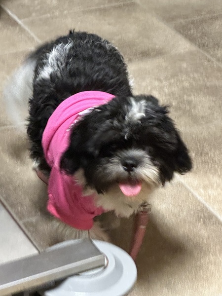 Entry image for booger. Clicking this image will show a larger photo