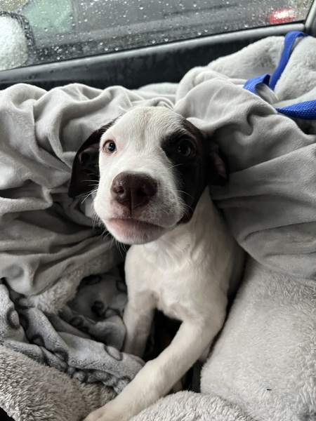 Entry image for olympia. Clicking this image will show a larger photo