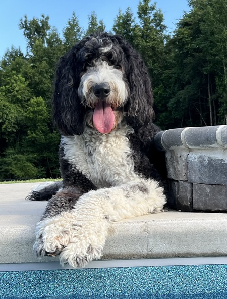 Sammy