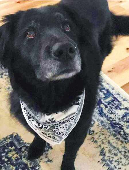 Maggie 