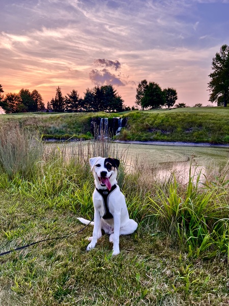 Sunsets and Smiles