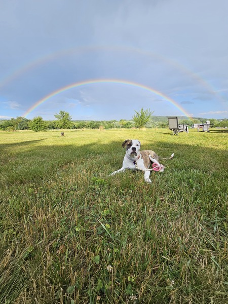 Picture Perfect Stella