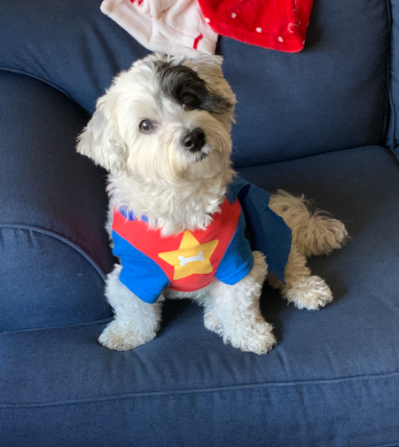 Super Toby!