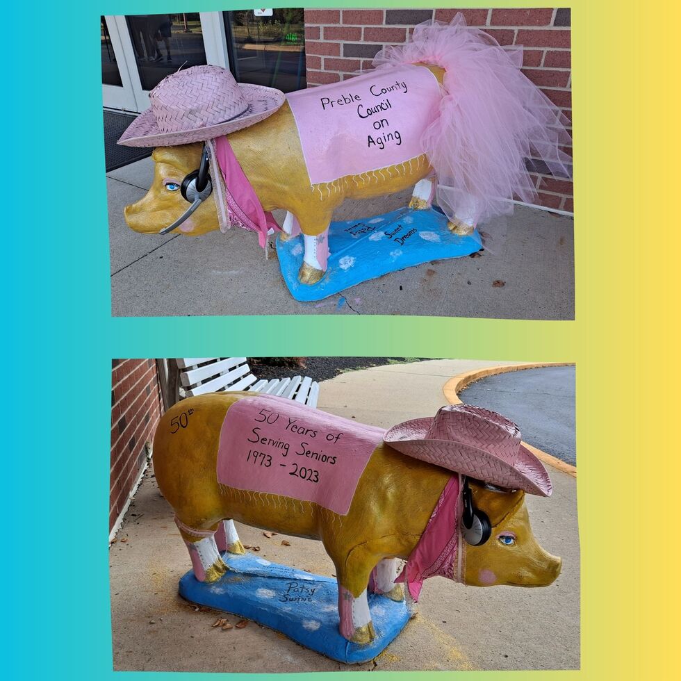 Vote for Preble County Council on Aging Preble County Pork Festival Paint the Pigs Contest