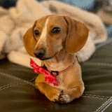 Entry image for Winnie