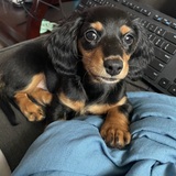 Entry image for Minnie