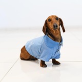 Entry image for Snoop