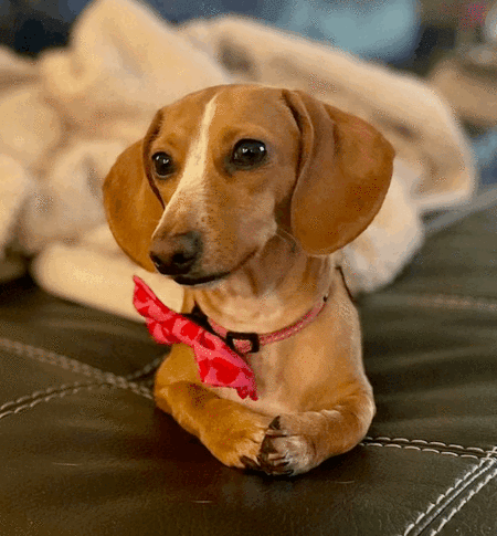 Entry image for Winnie. Clicking this image will show a larger photo