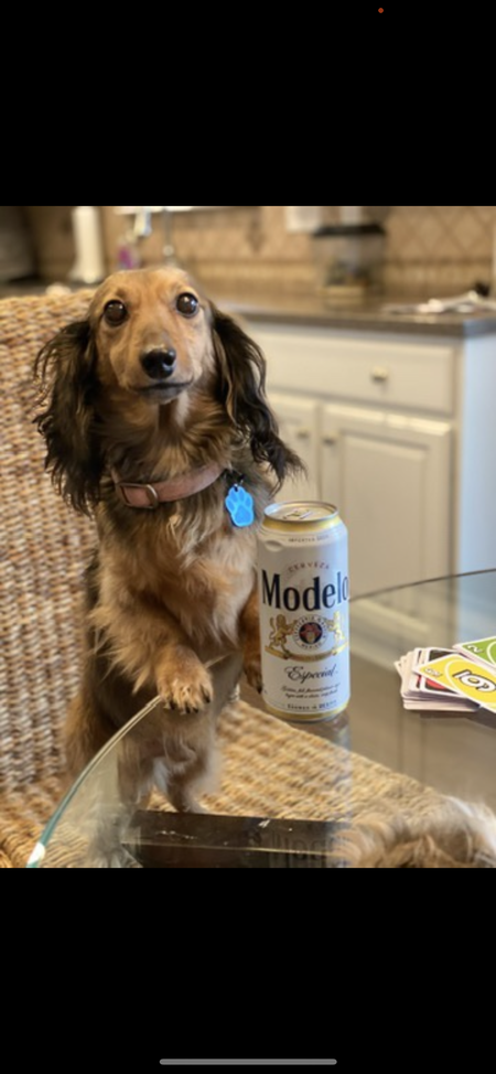 Entry image for Weenie. Clicking this image will show a larger photo