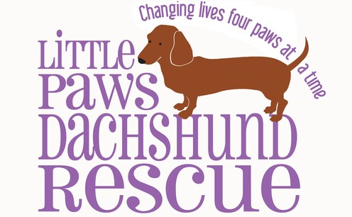 https://www.littlepawsdr.org/