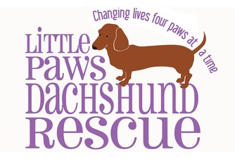 https://www.littlepawsdr.org/