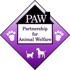 Pawsome Pibble Pageant  Animal Welfare Association
