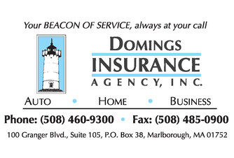 Domings Insurance