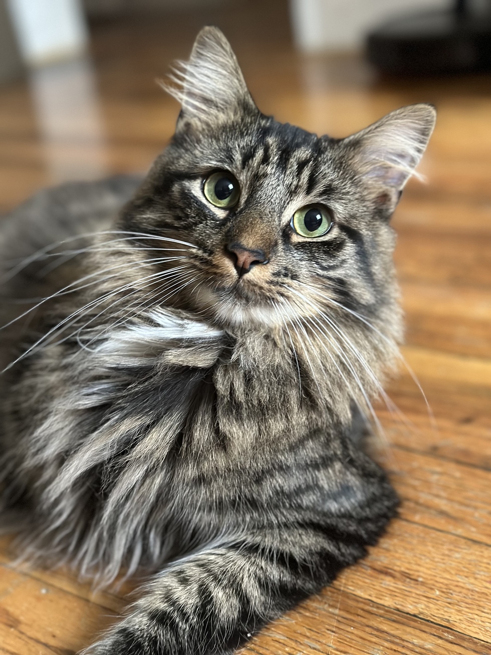 Vote for Barley 2024 ECMCR Calendar Contest