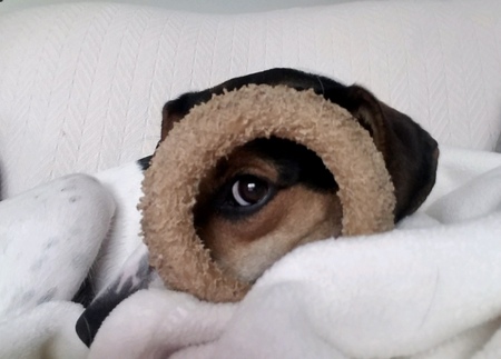Fiona