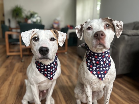 Thor & Rudy