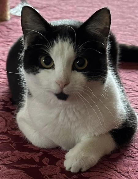 Lucy