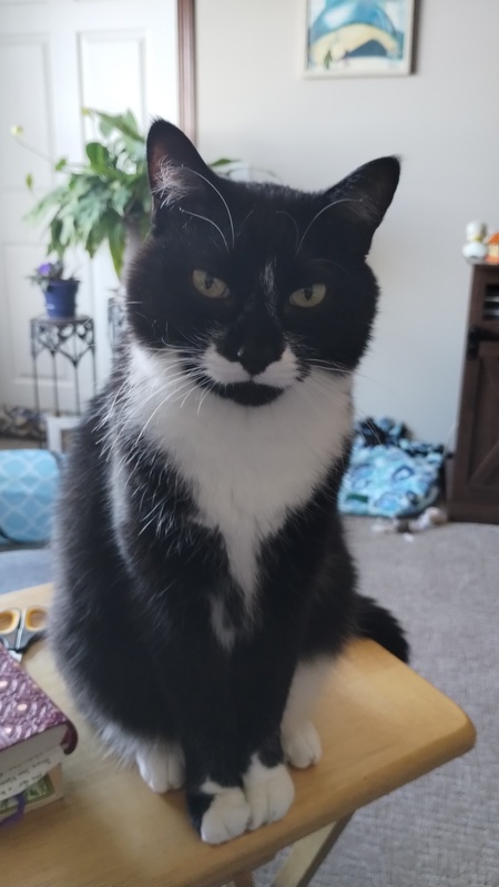 Louie