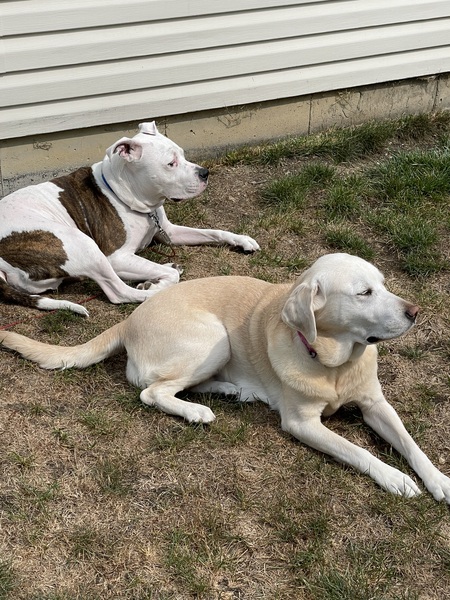 Floyd and Cali