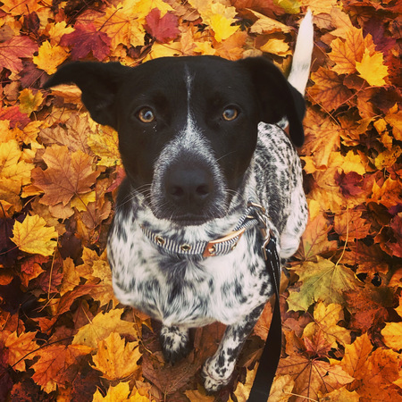 Tucker