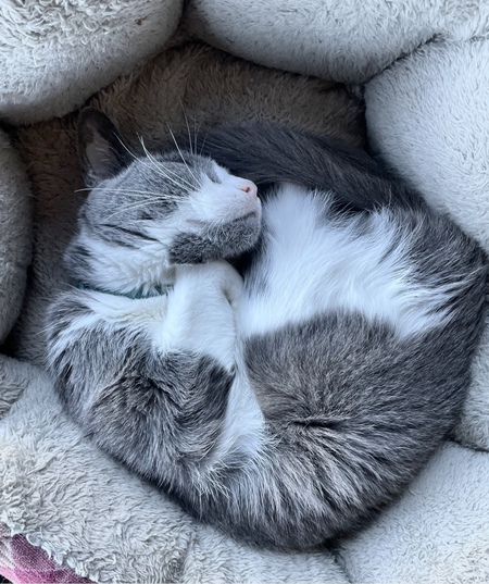 Marble
