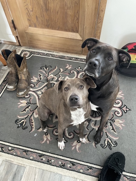 Lacy & Onyx