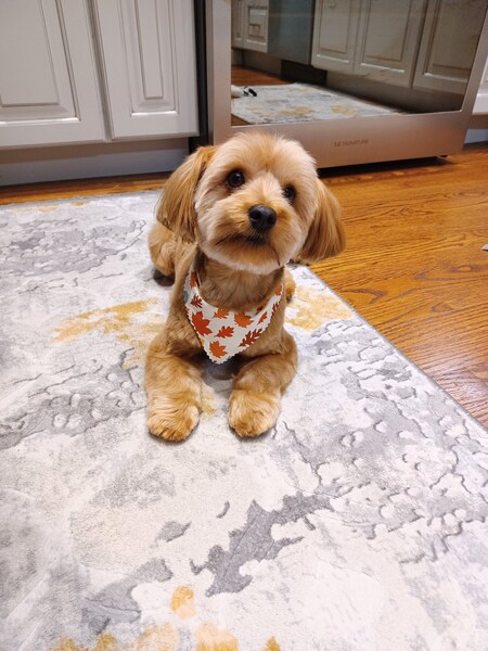 Tater