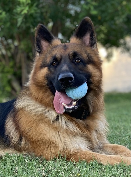 Kaizer