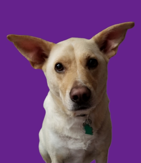 Maxx