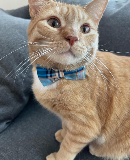 Jax