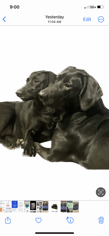 Annie & Molly