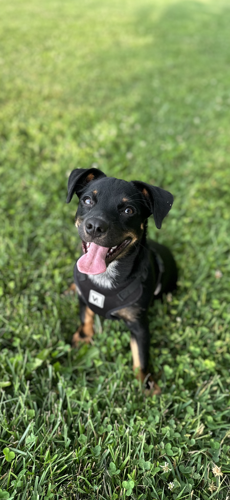 Benny