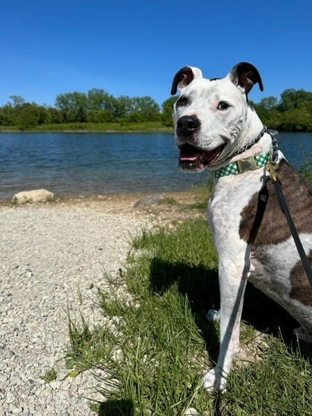 Walter 