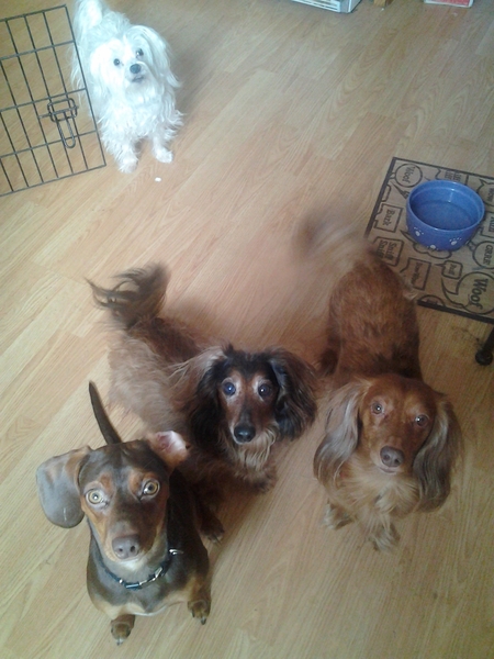 George, TJ, Alfie and Squiggy