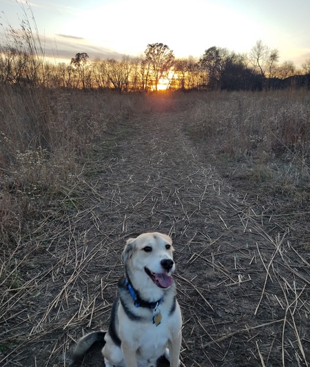 Duke