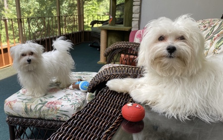 Rudi and Ellie