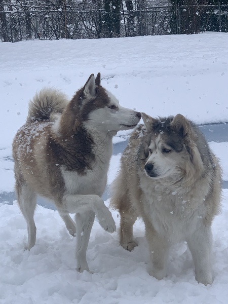 Zeva and Hunter 