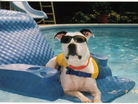 Petey Craig
