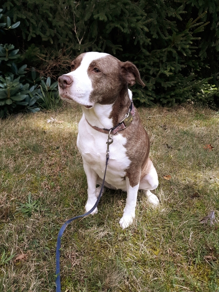 Bella