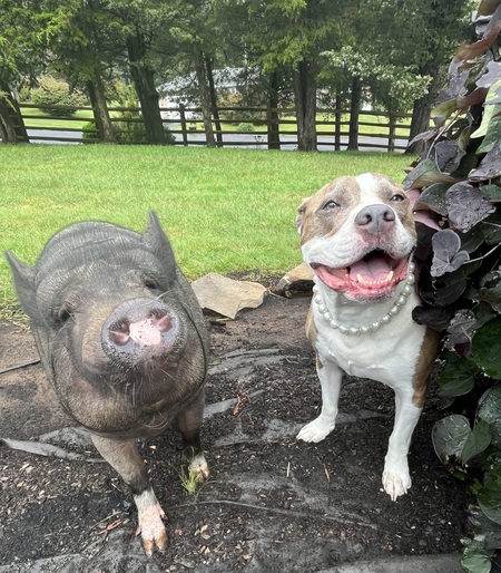 Stuart and Trudy