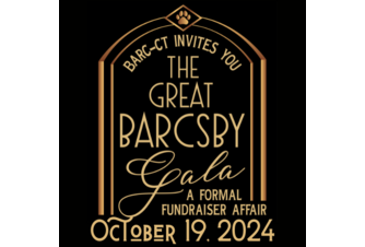 The Great Barcsby