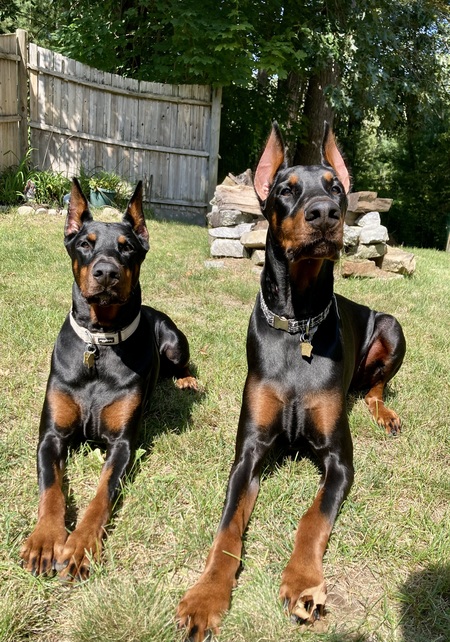 Zeus and Athena