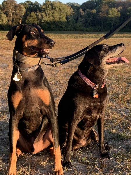 Top Hat (aka Steve) & Pebbles