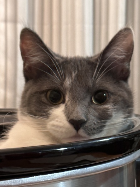Luna