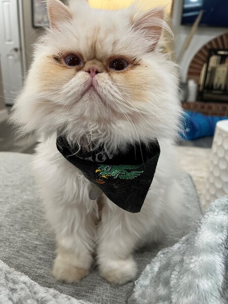 Frederico